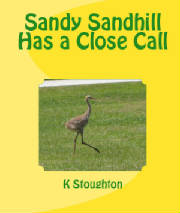 Sandy2011cover.jpg