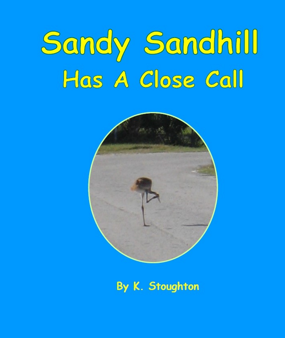 Sandykdpcover.jpg